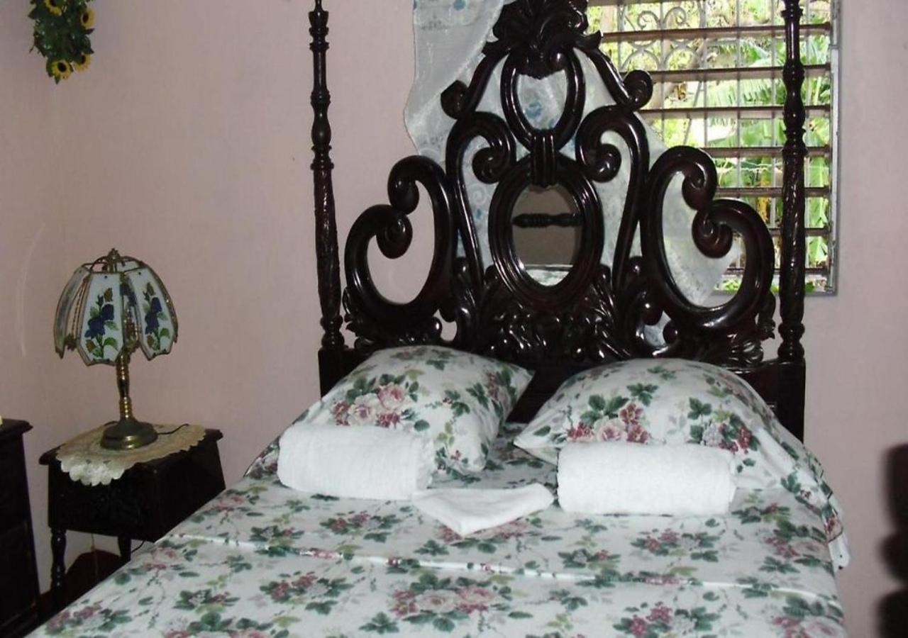 Kingston Airport Bed And Breakfast Exterior photo